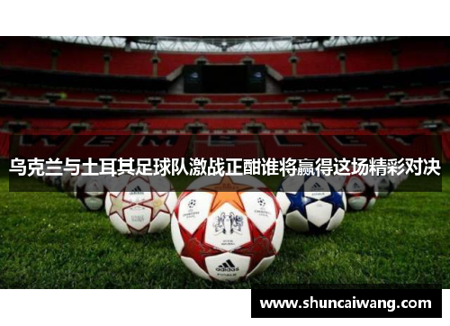 乌克兰与土耳其足球队激战正酣谁将赢得这场精彩对决