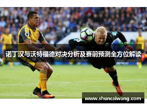 诺丁汉与沃特福德对决分析及赛前预测全方位解读